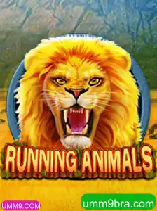 Explorando o Mundo de RunningAnimals